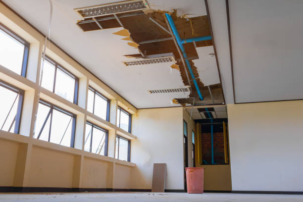 Best 24-hour water damage restoration  in South Dennis, NJ