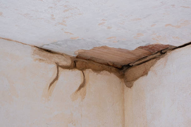 Best Sewage cleanup and water damage restoration  in South Dennis, NJ