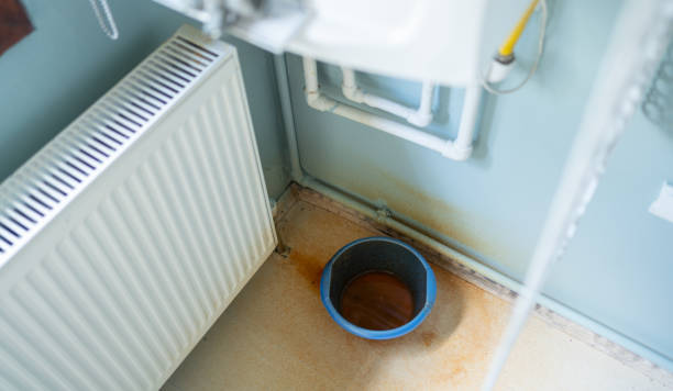 Best Water damage cleanup near me  in South Dennis, NJ